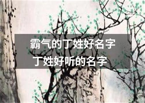 霸气的丁姓好名字 丁姓好听的名字