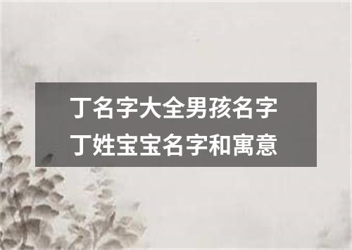 丁名字大全男孩名字 丁姓宝宝名字和寓意