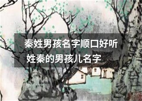 秦姓男孩名字顺口好听 姓秦的男孩儿名字