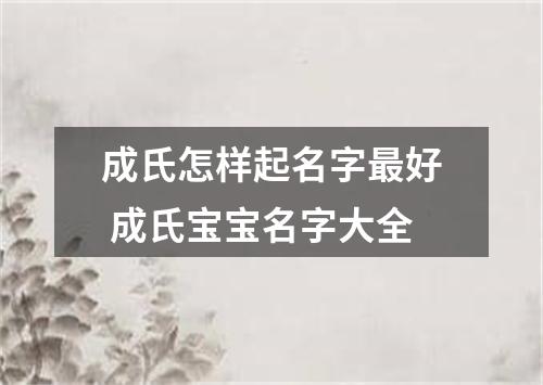 成氏怎样起名字最好 成氏宝宝名字大全