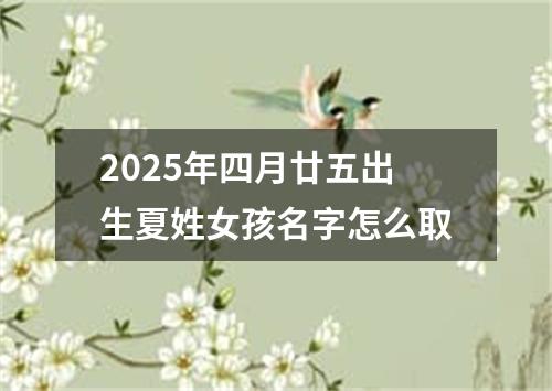 2025年四月廿五出生夏姓女孩名字怎么取