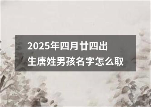 2025年四月廿四出生唐姓男孩名字怎么取