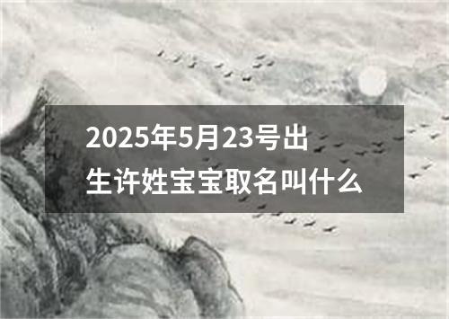 2025年5月23号出生许姓宝宝取名叫什么