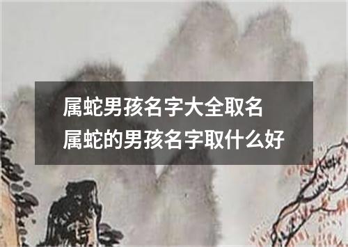 属蛇男孩名字大全取名 属蛇的男孩名字取什么好