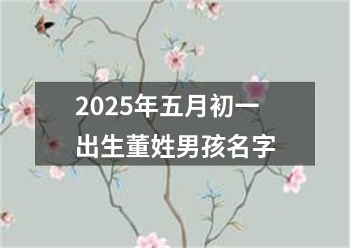 2025年五月初一出生董姓男孩名字