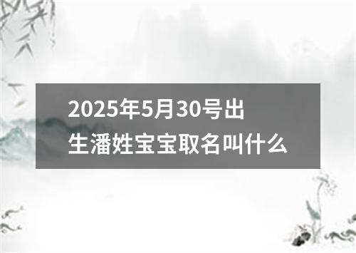 2025年5月30号出生潘姓宝宝取名叫什么