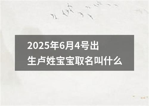 2025年6月4号出生卢姓宝宝取名叫什么