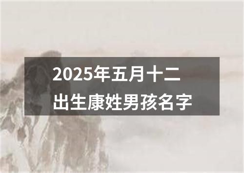 2025年五月十二出生康姓男孩名字