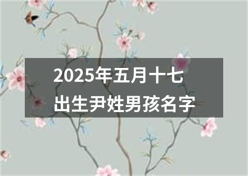 2025年五月十七出生尹姓男孩名字