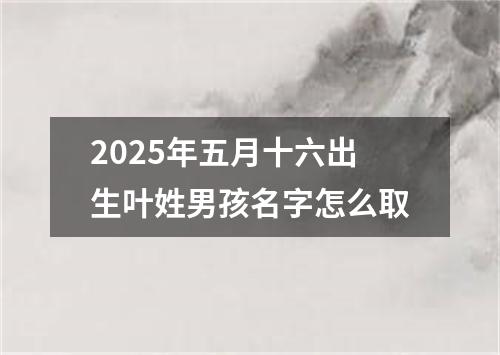 2025年五月十六出生叶姓男孩名字怎么取