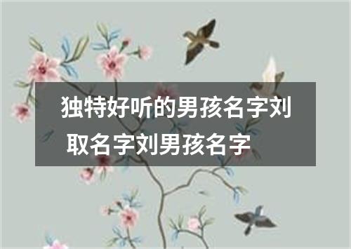 独特好听的男孩名字刘 取名字刘男孩名字