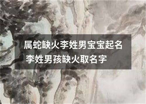 属蛇缺火李姓男宝宝起名 李姓男孩缺火取名字