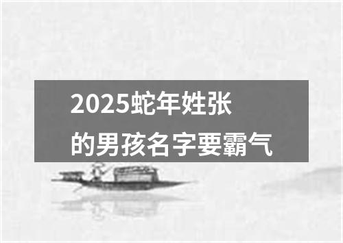 2025蛇年姓张的男孩名字要霸气