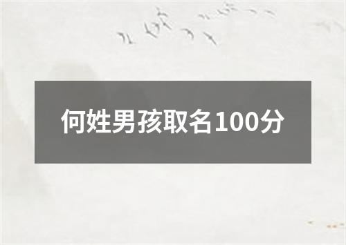 何姓男孩取名100分