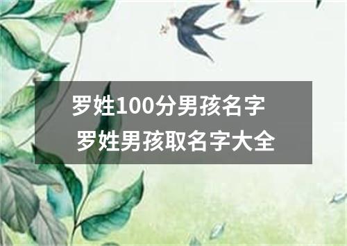 罗姓100分男孩名字 罗姓男孩取名字大全