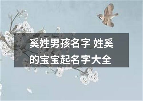 奚姓男孩名字 姓奚的宝宝起名字大全