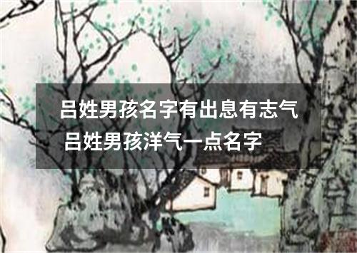 吕姓男孩名字有出息有志气 吕姓男孩洋气一点名字
