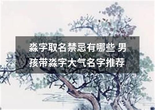 淼字取名禁忌有哪些 男孩带淼字大气名字推荐