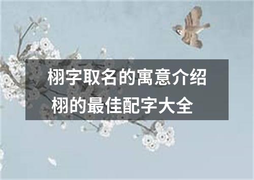 栩字取名的寓意介绍 栩的最佳配字大全