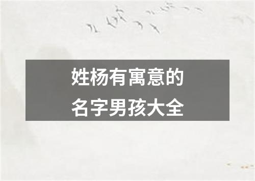 姓杨有寓意的名字男孩大全