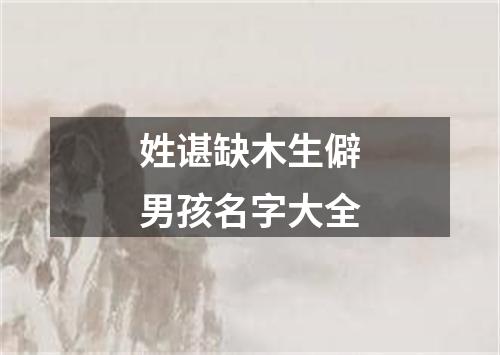 姓谌缺木生僻男孩名字大全