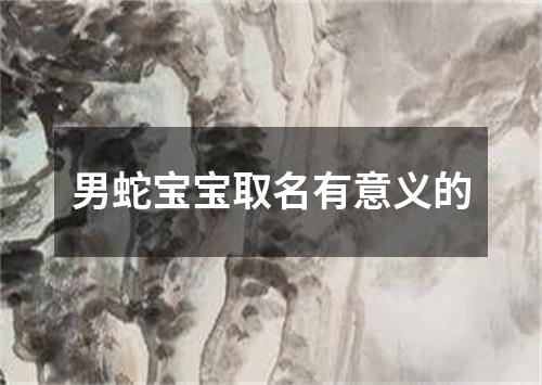 男蛇宝宝取名有意义的