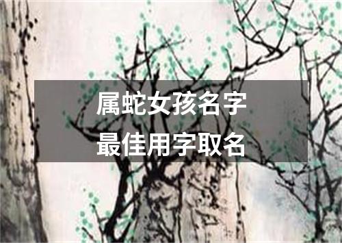 属蛇女孩名字最佳用字取名