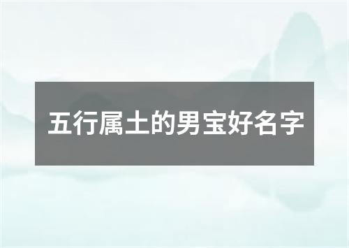 五行属土的男宝好名字