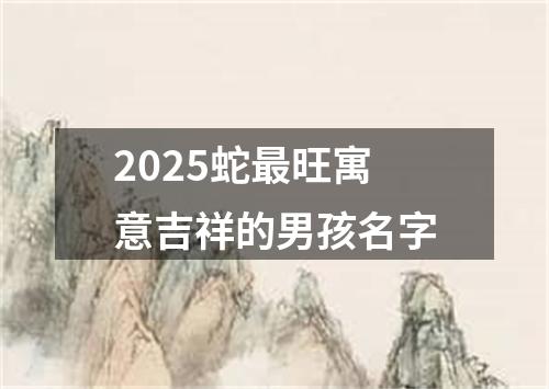 2025蛇最旺寓意吉祥的男孩名字