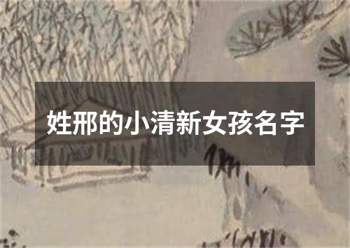 姓邢的小清新女孩名字