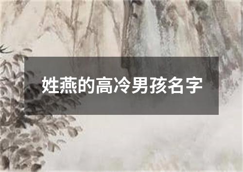 姓燕的高冷男孩名字