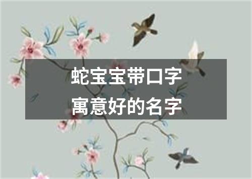 蛇宝宝带口字寓意好的名字
