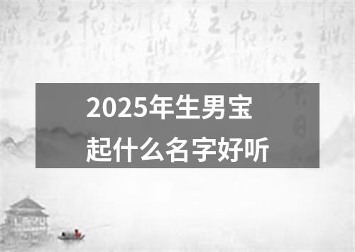 2025年生男宝起什么名字好听