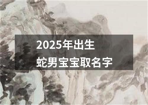 2025年出生蛇男宝宝取名字