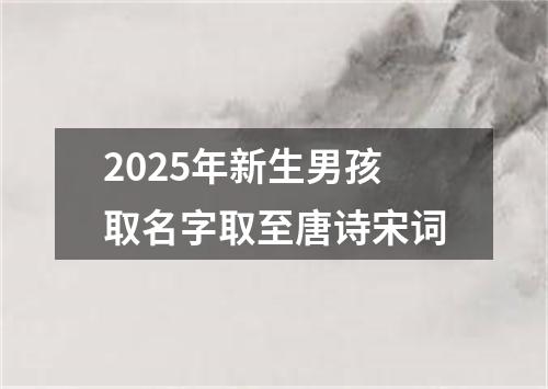 2025年新生男孩取名字取至唐诗宋词