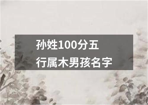 孙姓100分五行属木男孩名字
