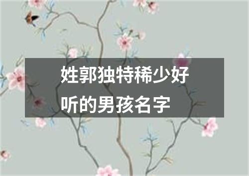 姓郭独特稀少好听的男孩名字