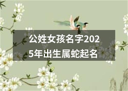 公姓女孩名字2025年出生属蛇起名