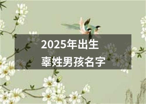 2025年出生辜姓男孩名字