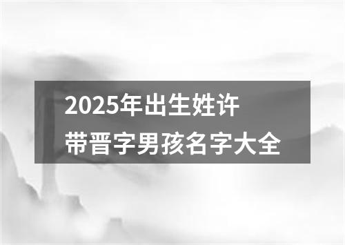 2025年出生姓许带晋字男孩名字大全