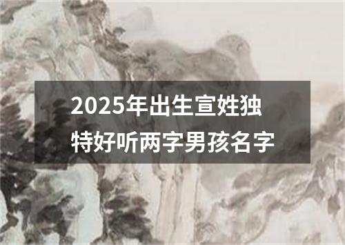 2025年出生宣姓独特好听两字男孩名字