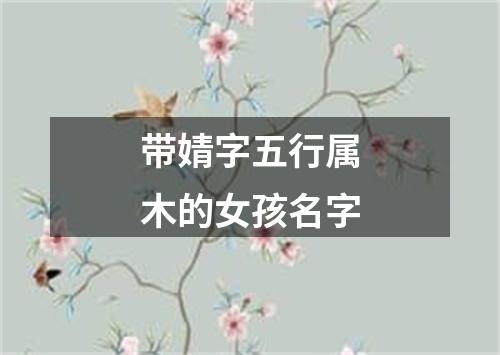 带婧字五行属木的女孩名字
