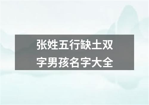 张姓五行缺土双字男孩名字大全