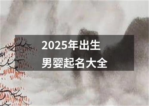 2025年出生男婴起名大全