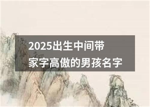 2025出生中间带家字高傲的男孩名字