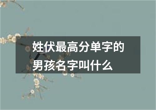 姓伏最高分单字的男孩名字叫什么