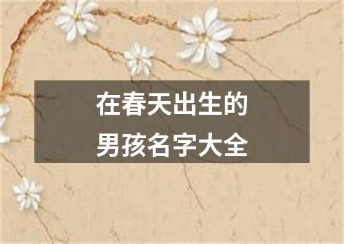 在春天出生的男孩名字大全