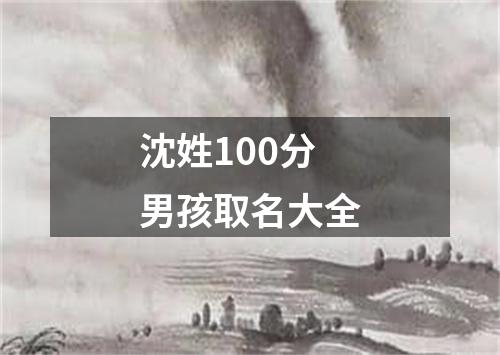 沈姓100分男孩取名大全