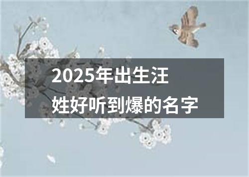 2025年出生汪姓好听到爆的名字