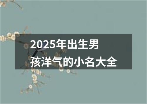 2025年出生男孩洋气的小名大全